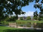 miniatura University of Bath - campus lake scene